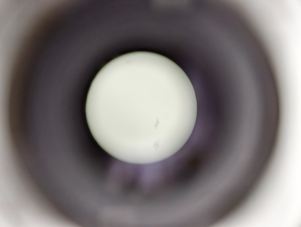 Leica Binocular Head 1x Infinity Microscope