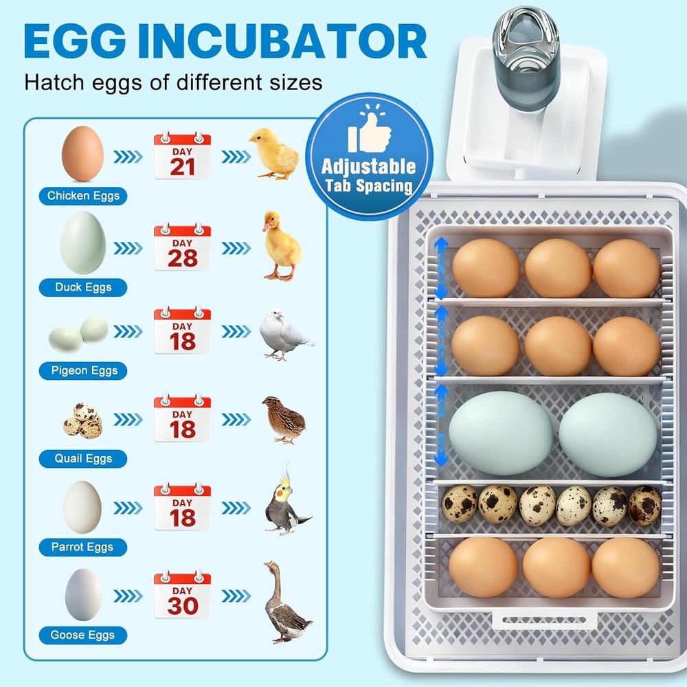 Incubators for Hatching Eggs, Egg Incubator with Automatic Egg Turning and Humid
