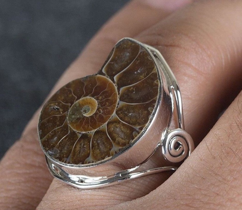 Natural Ammonite Fossil Shell Sterling Silver Ring 12.5
