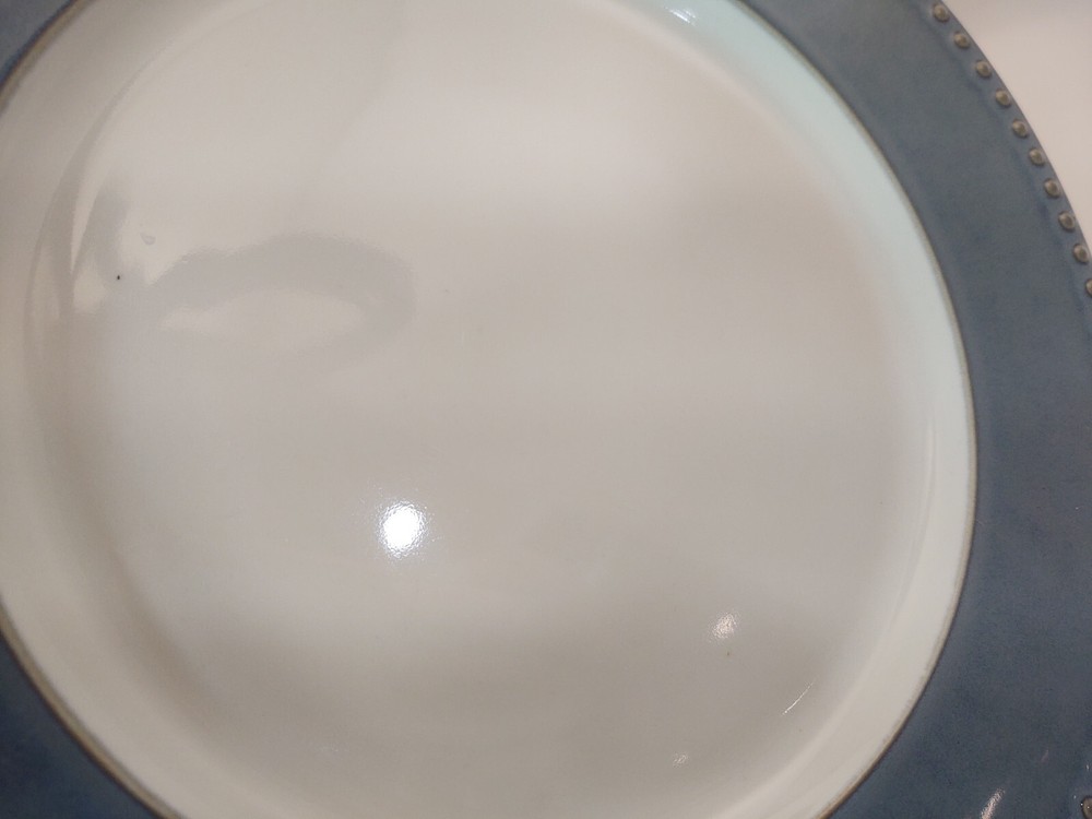 Set of 2 Dansk Reactic Slate (Gray) Dinner Plates