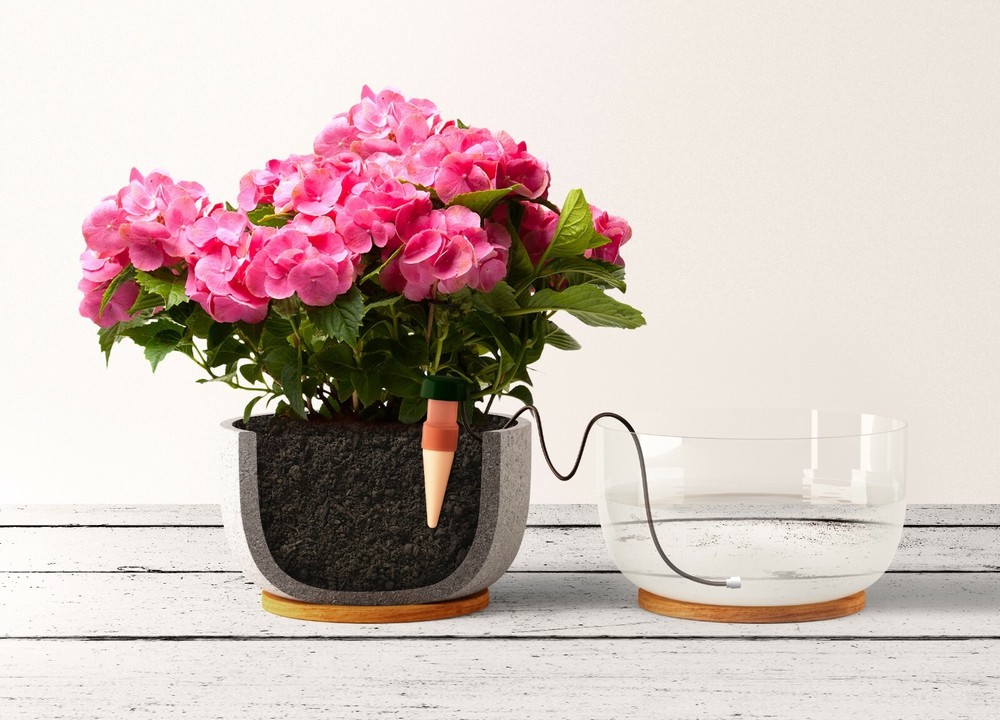 Blumat Classic Watering Plant Pack (6 Stakes) Automatic Drip Watering/Irrigation
