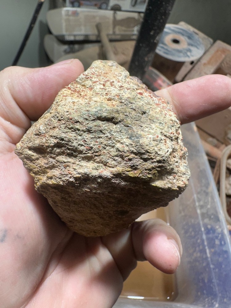Dinosaur bone polished end cut specimen.