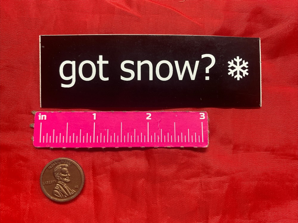 Got Snow? Snowflake Sticker