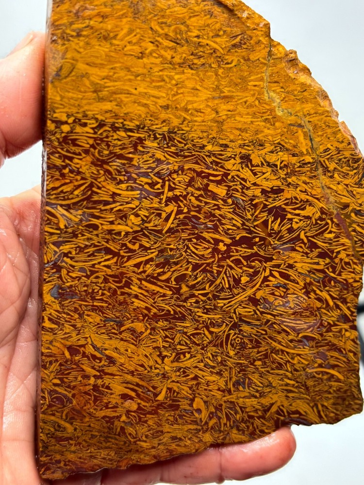 Script Stone Jasper Slab Cabbing Lapidary Collecting Combo Ship Avail
