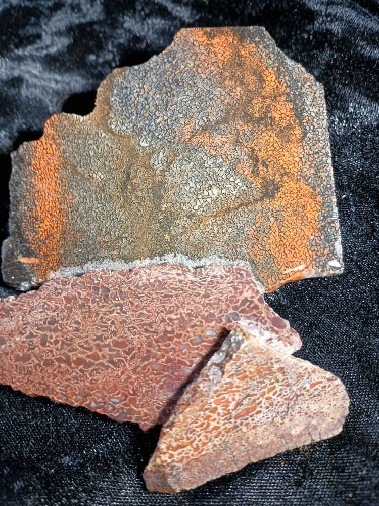 Dinosaur Bone Slabs Utah Rough 125 grams