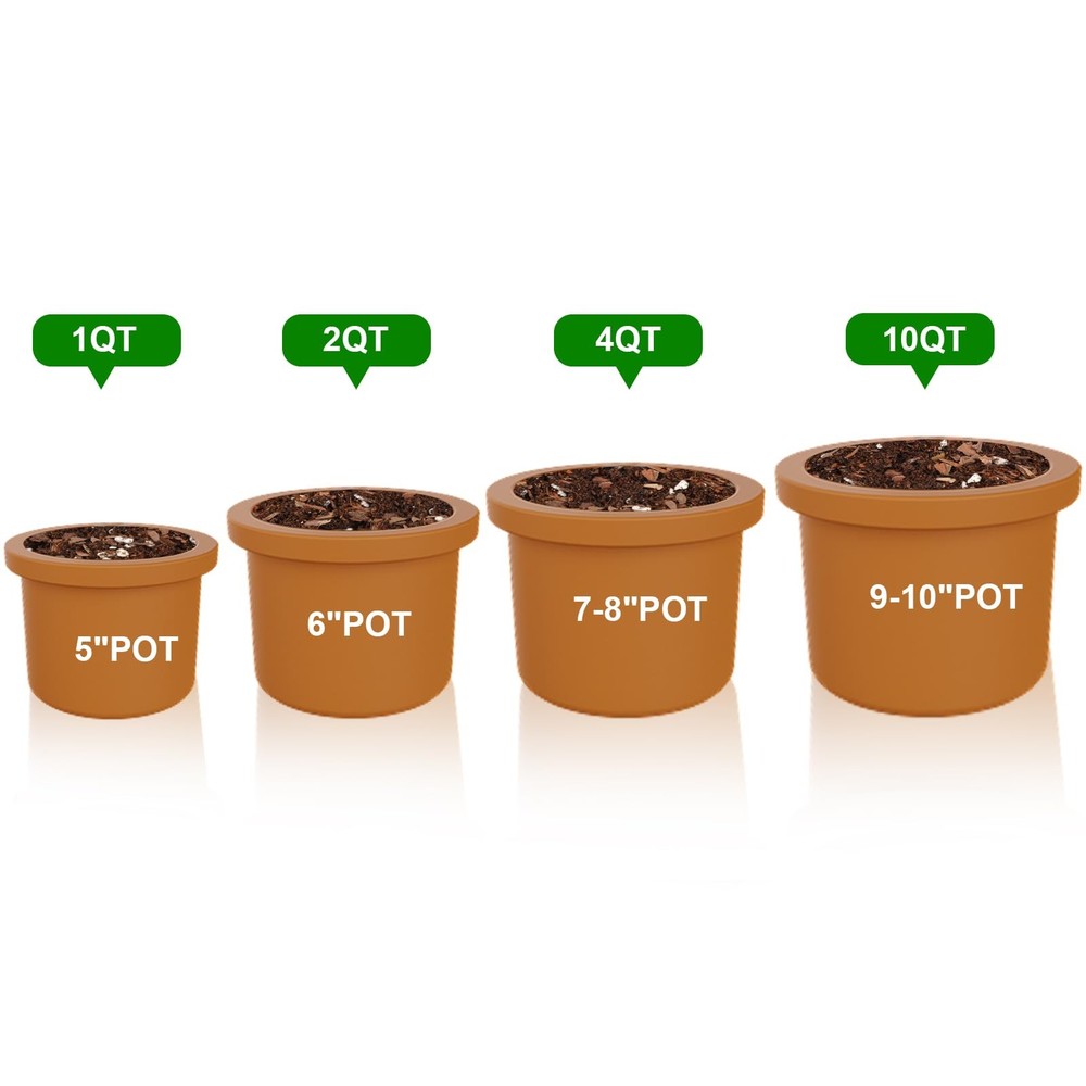 Doter Organic Perlite for Plants, Soil Amendment Enhanced 1qt,
