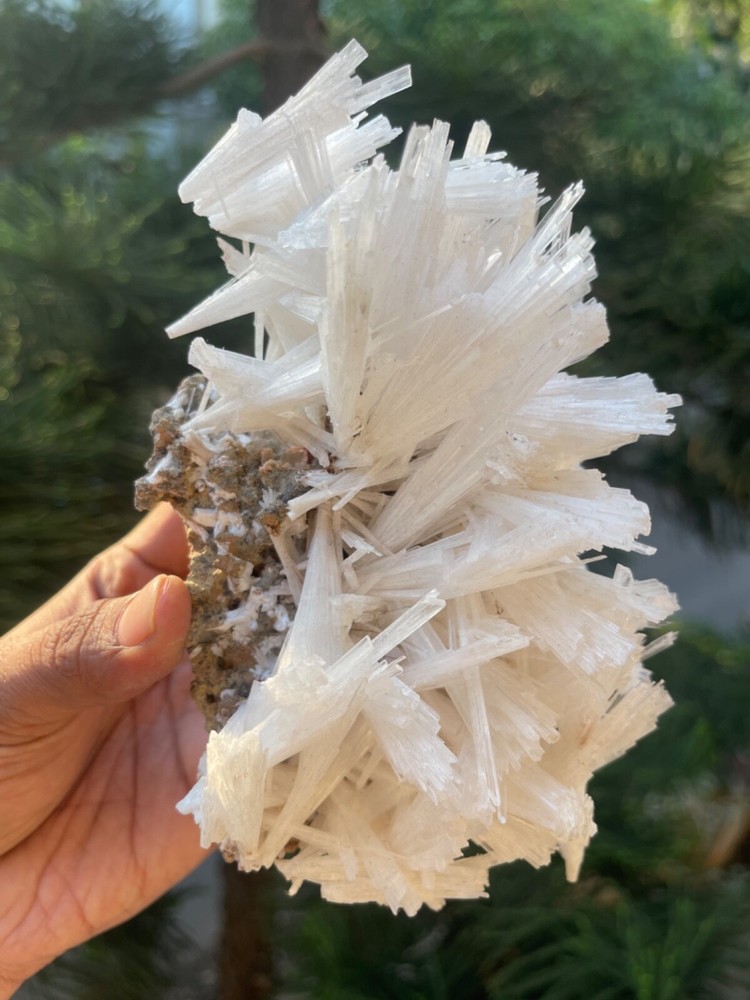 Glossy scolecite spray on basalt matrix