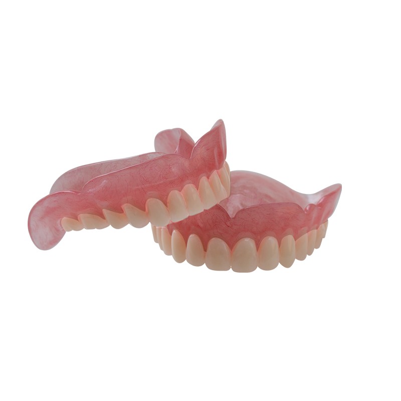 Denture Model for Dental Practice High Quality Lab Training Tool Customizable