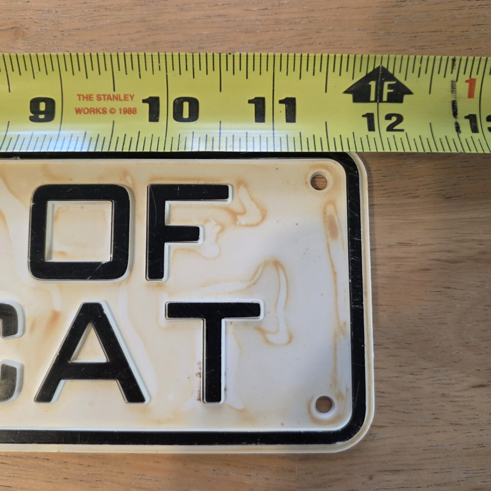 Beware of Attack Cat Sign