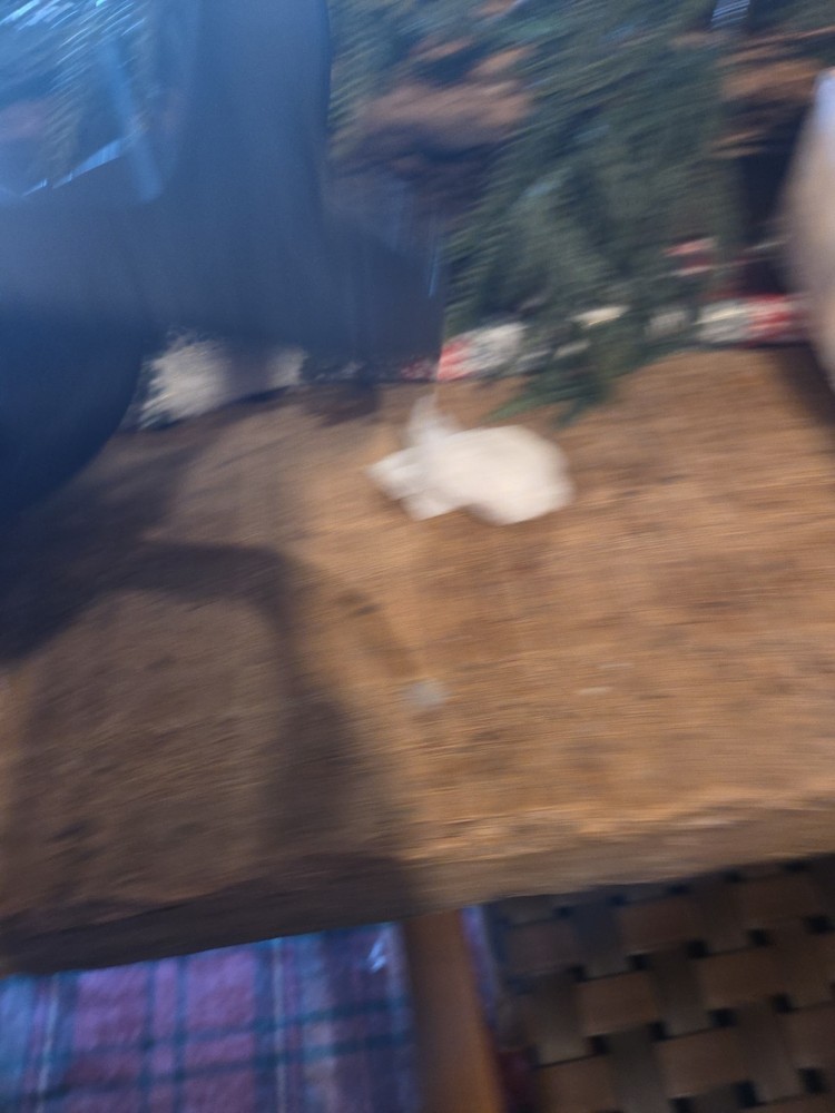 Quest 1 Oculus VR Gaming Headset With Controllers