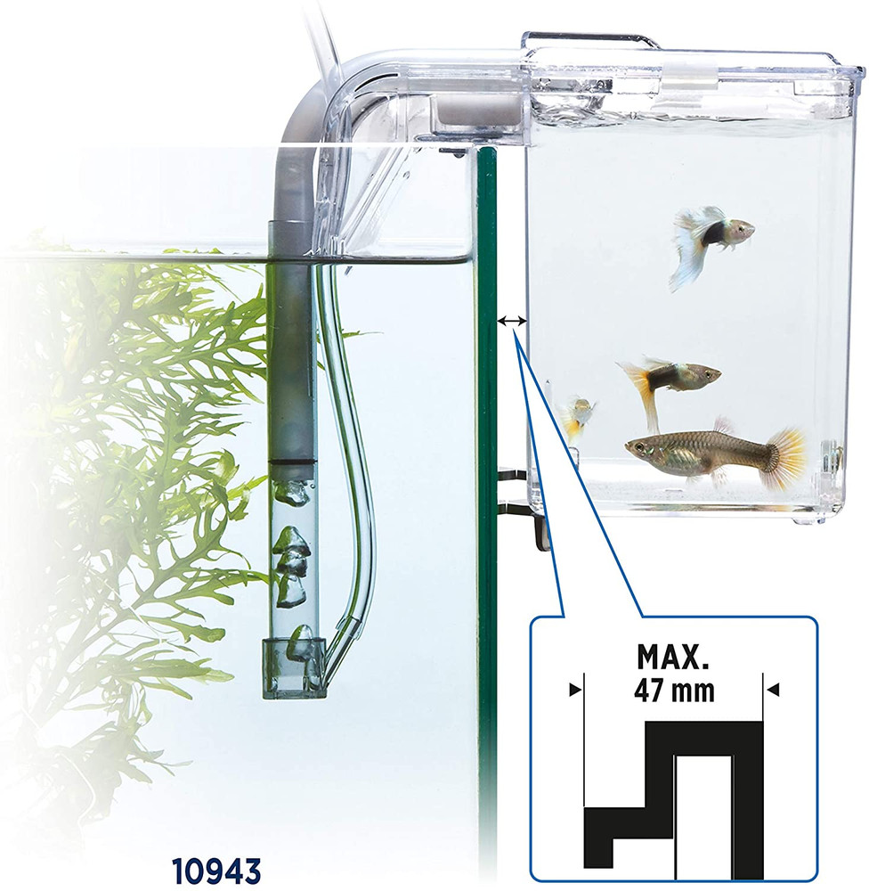 Fluval Multi-Chamber Holding and Breeding Box, Large