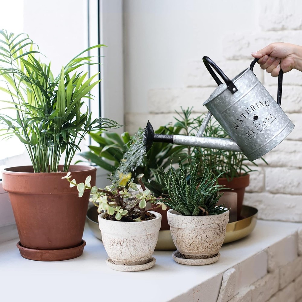 Watering Can
