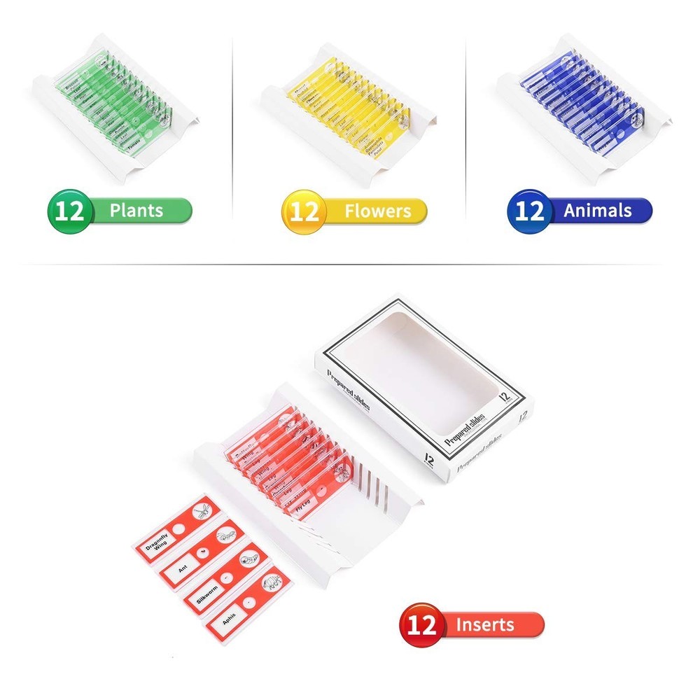 Explore Nature with 48pcs Prepared Plastic Microscope Slides for Children