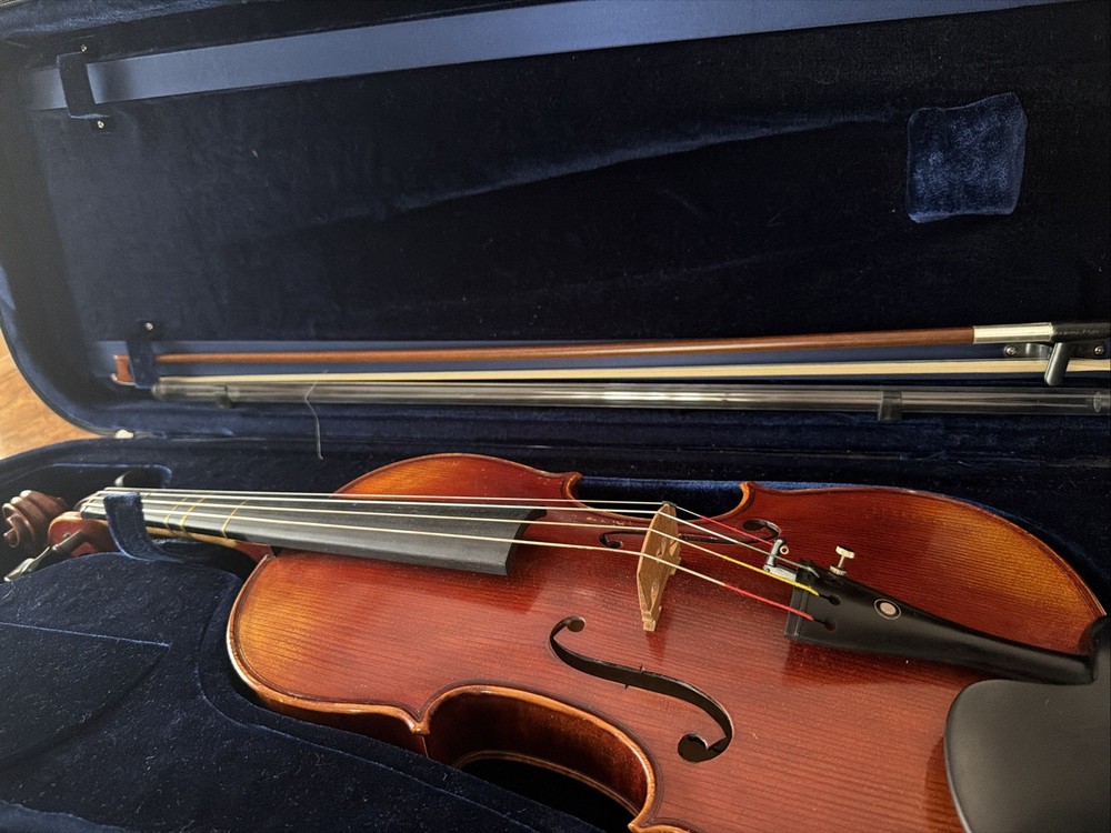 Viola Carlo Robelli
