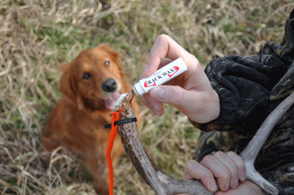Shed Antler Hunting Dog Training Kit