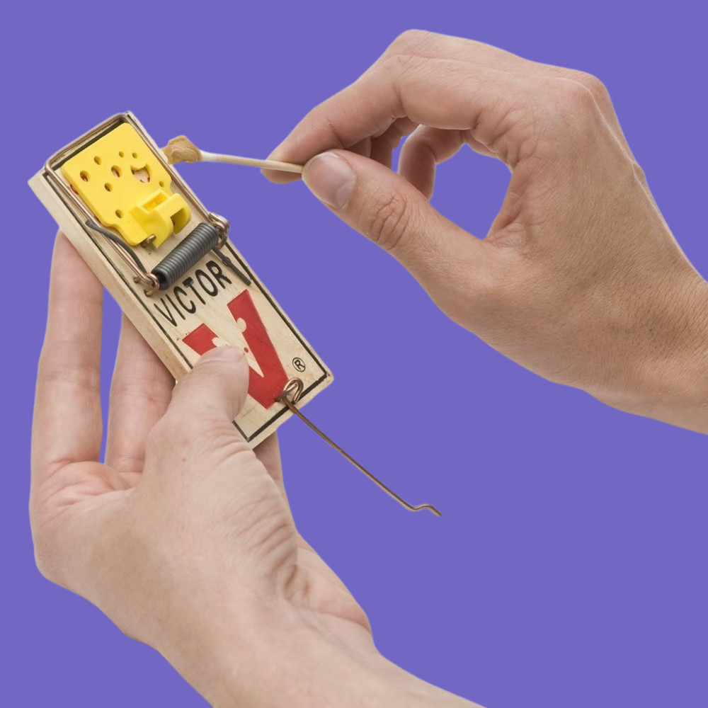 Easy Set Mouse Traps, 2-Pack, - (4 count )