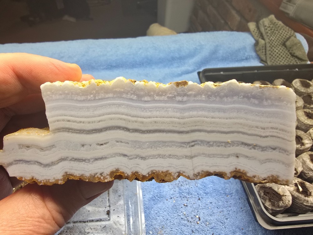 Amazing Faced Blue Lace Agate Rough, Intense Blue/Lace, Namibia