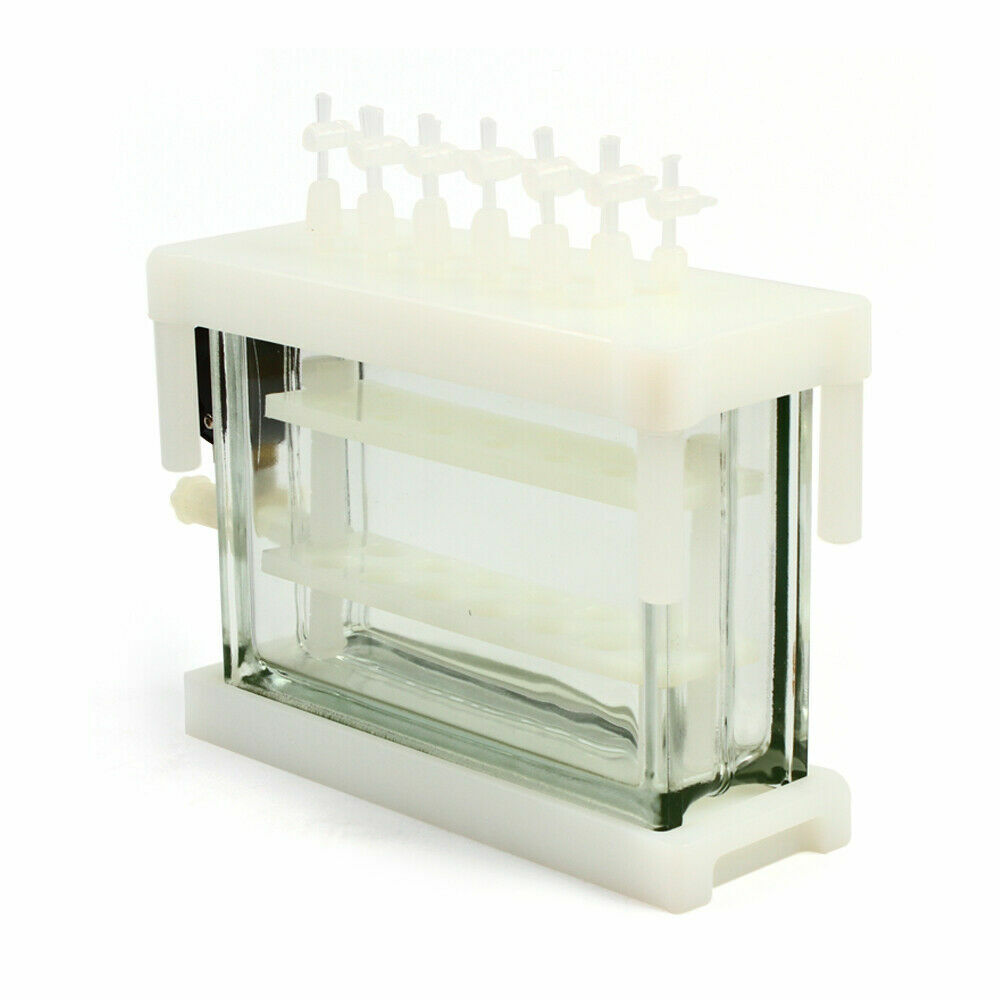 12 Position solid phase extraction vacuum SPE manifold e For Lab areas US Stock