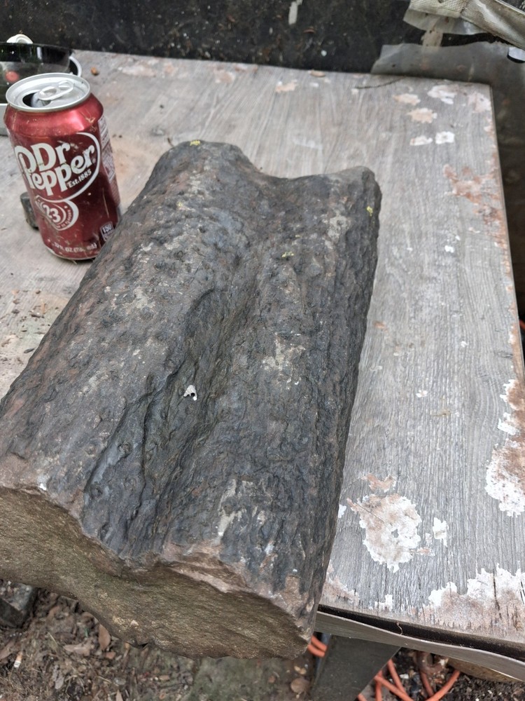 Petrified Wood Log