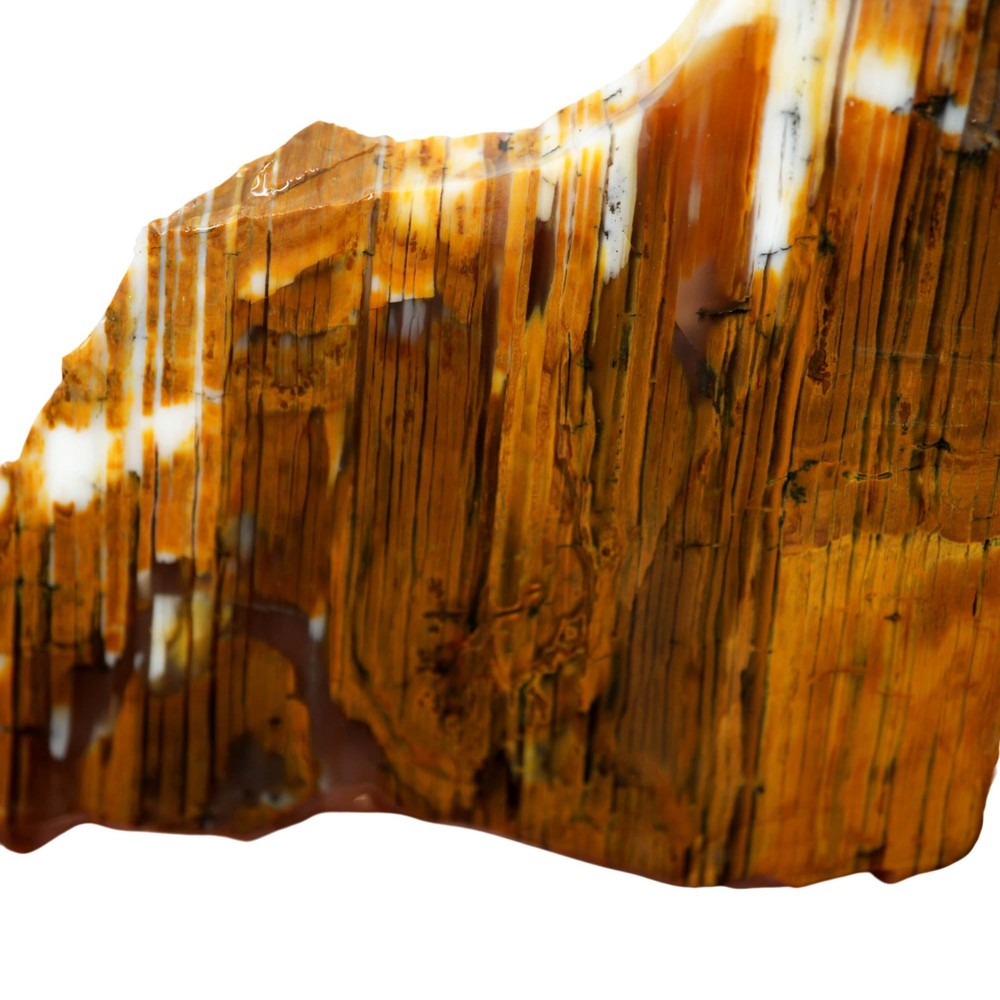 Wascoite Slab - Strata Coffee Pattern