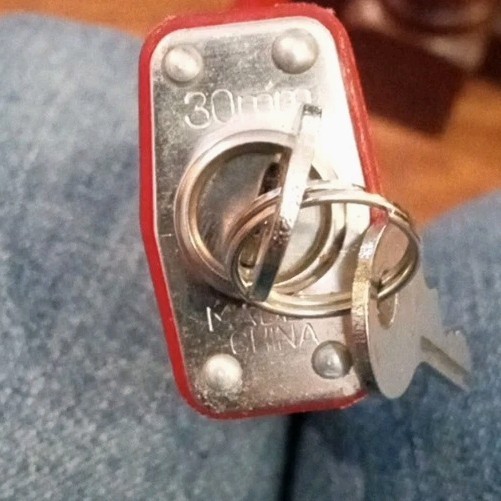 SET (2) Factory Ruger Cable Gun Locks 30MM