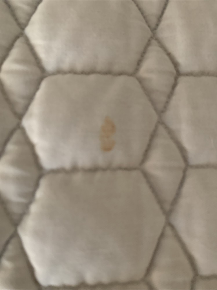 Ovation All Purpose Saddle Pad With Ponies All Around Edge