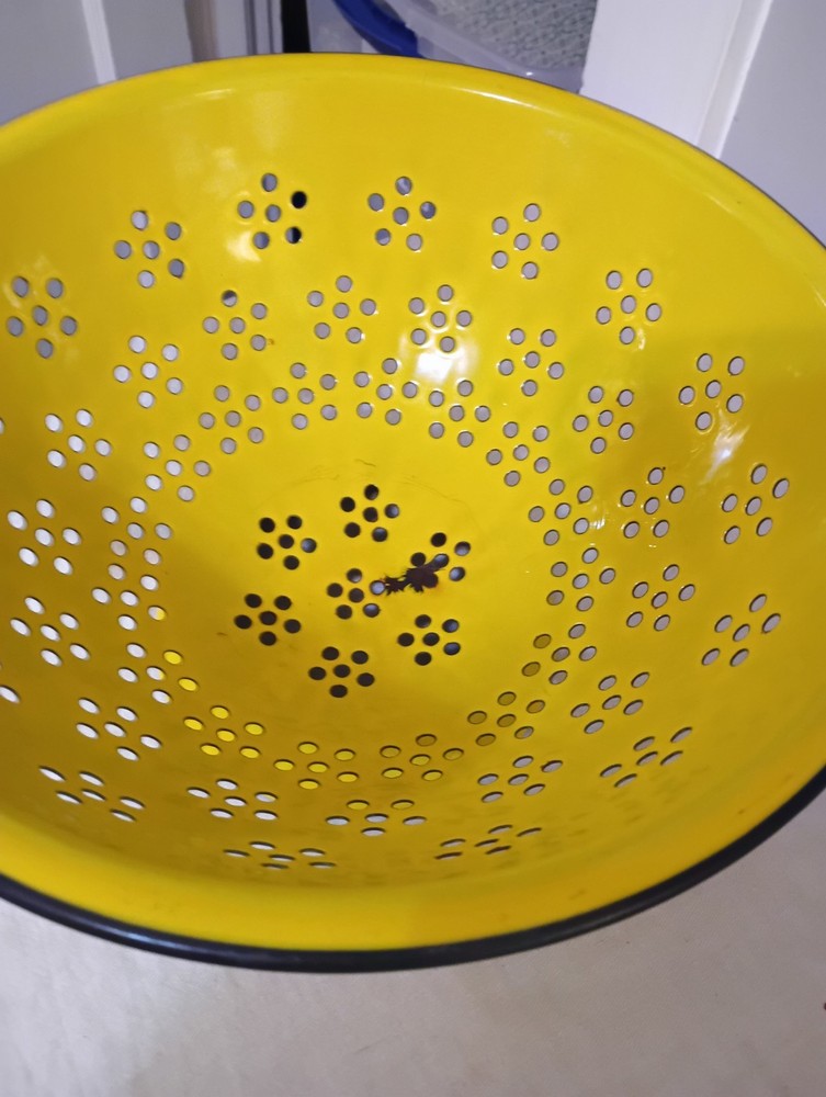 Vintage Yellow Enamel Colander