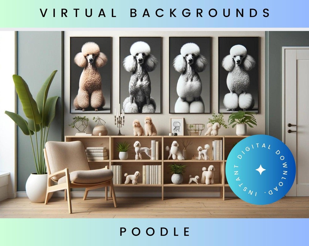 Poodle Zoom Backgrounds