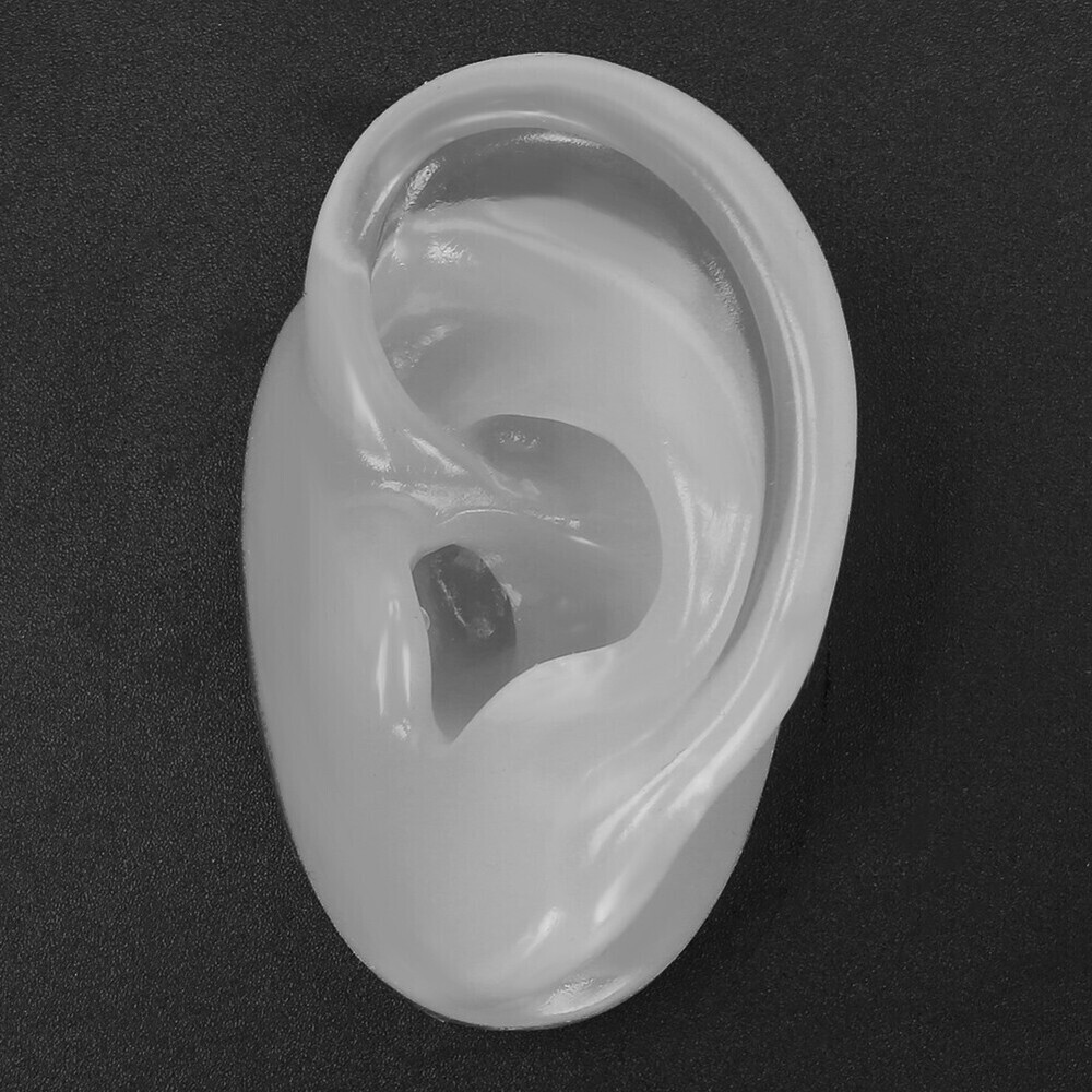 Silicone Ear Model Simulation Artificial Ear Display Model for Hearing Aids Wear