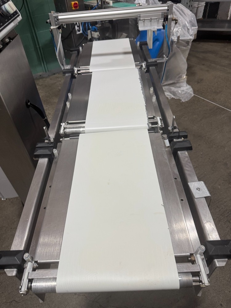 thermo ramsey AC4000i checkweigher