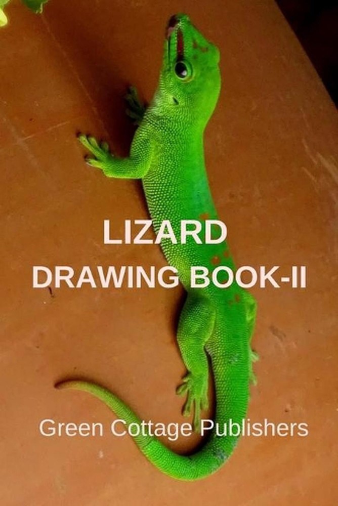 Lizard Drawing Book-II