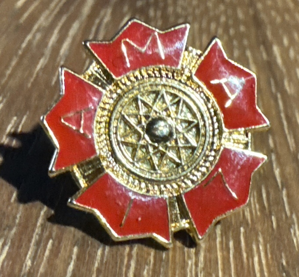 AMA 17 Year Member Pin