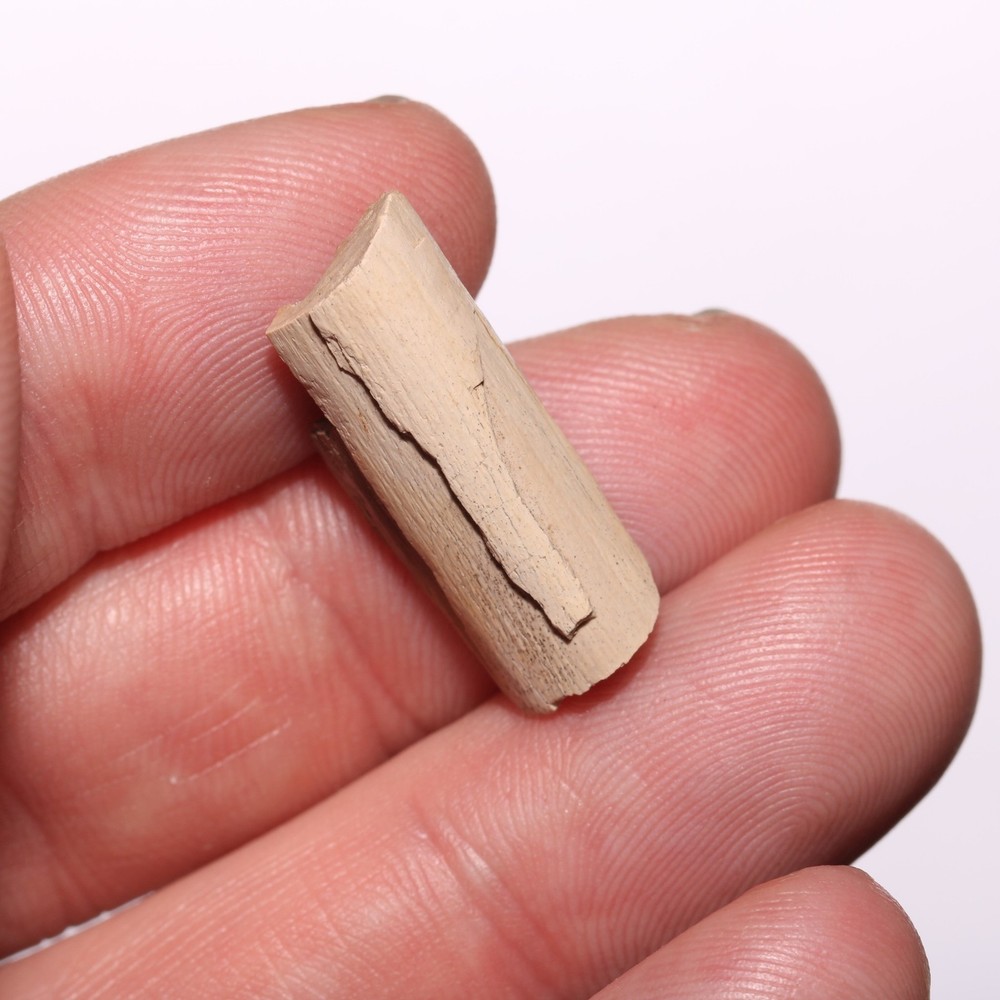 Raptor Bone Partial - Dinosaur Fossil - Cretaceous Aged - Hell Creek Formation