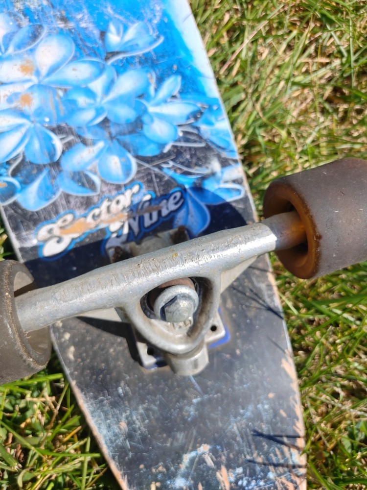 Sector 9 Longboard Skateboard Vintage