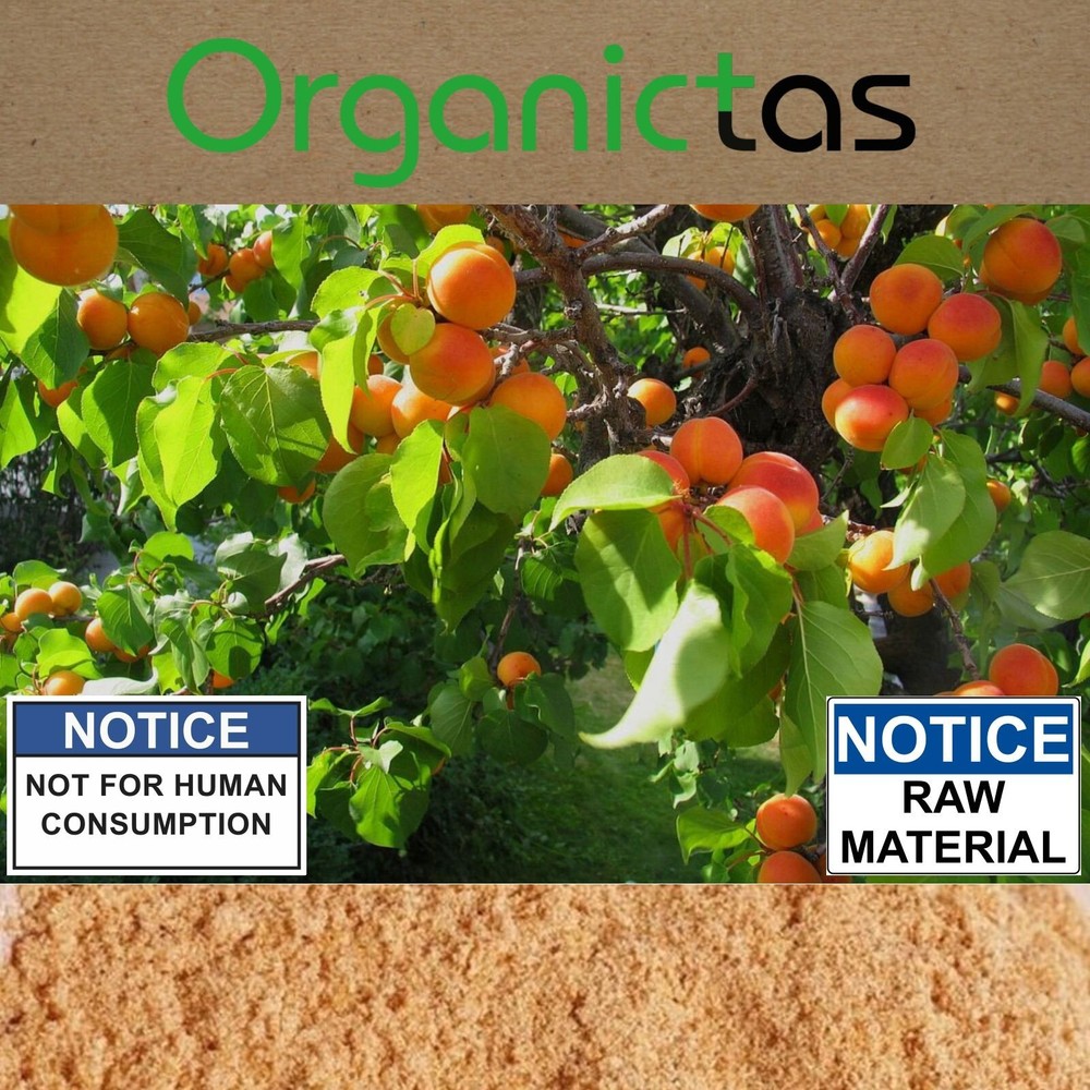 Bitter Apricot POWDER Raw (Seeds, Kernel, Pit, Stone, Core) Best Premium Quality