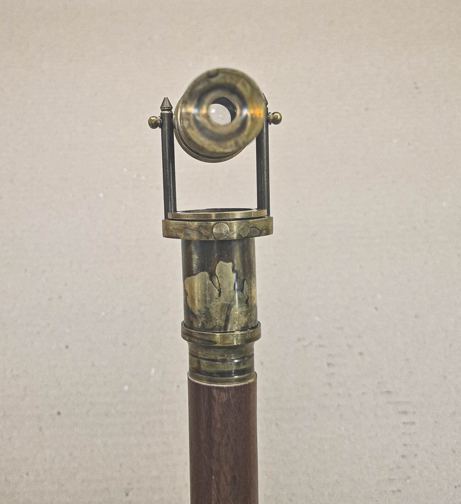 Walking stick for bird watching or hunting