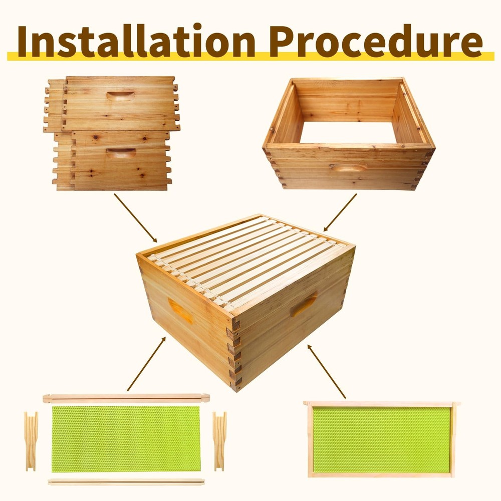BeeQuestify 10 Frame Bee Hive Box Langstroth Deep Brood Dipped 10pcs