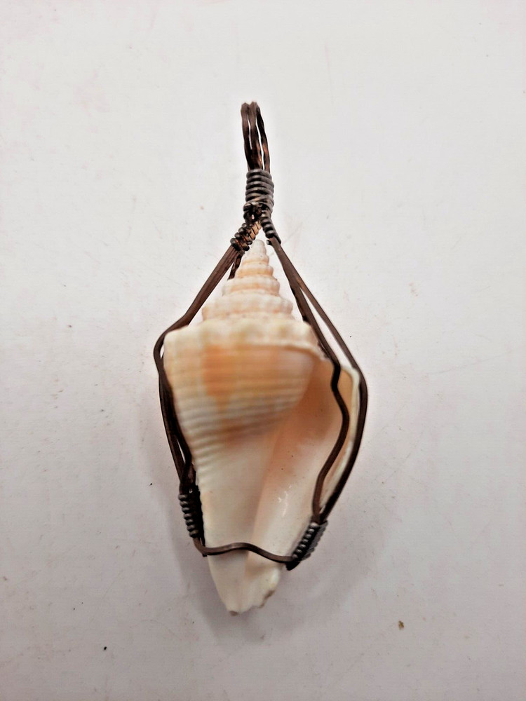 Small Conch Shell Wire Wrap 1 3/4 inches
