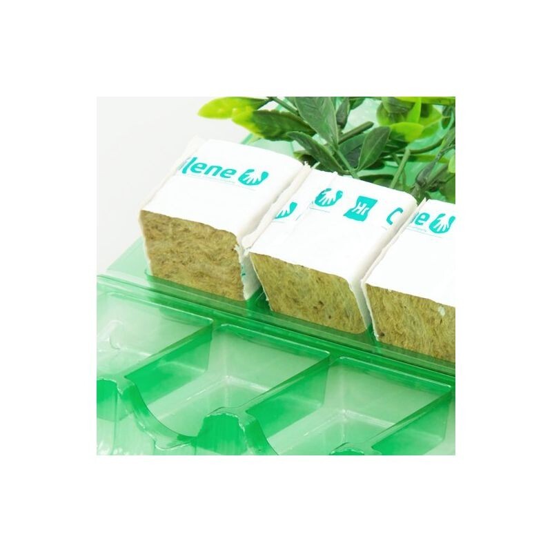 Clone Shipper 5 Plant cell Seed Tray Rockwool or Plugs - Quantity 10