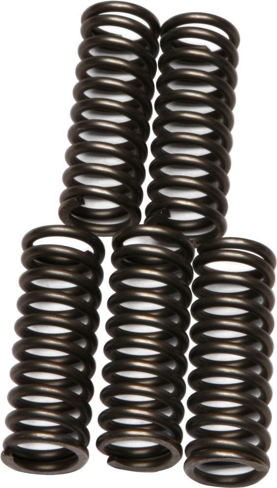 EBC Clutch Spring Kit - CSK73