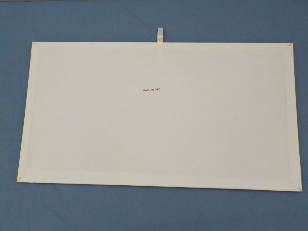 WHITE JEWELRY DISPLAY BOX TRAY WITH REMOVABLE PADDED INSERT PLASTIC ORGANIZER