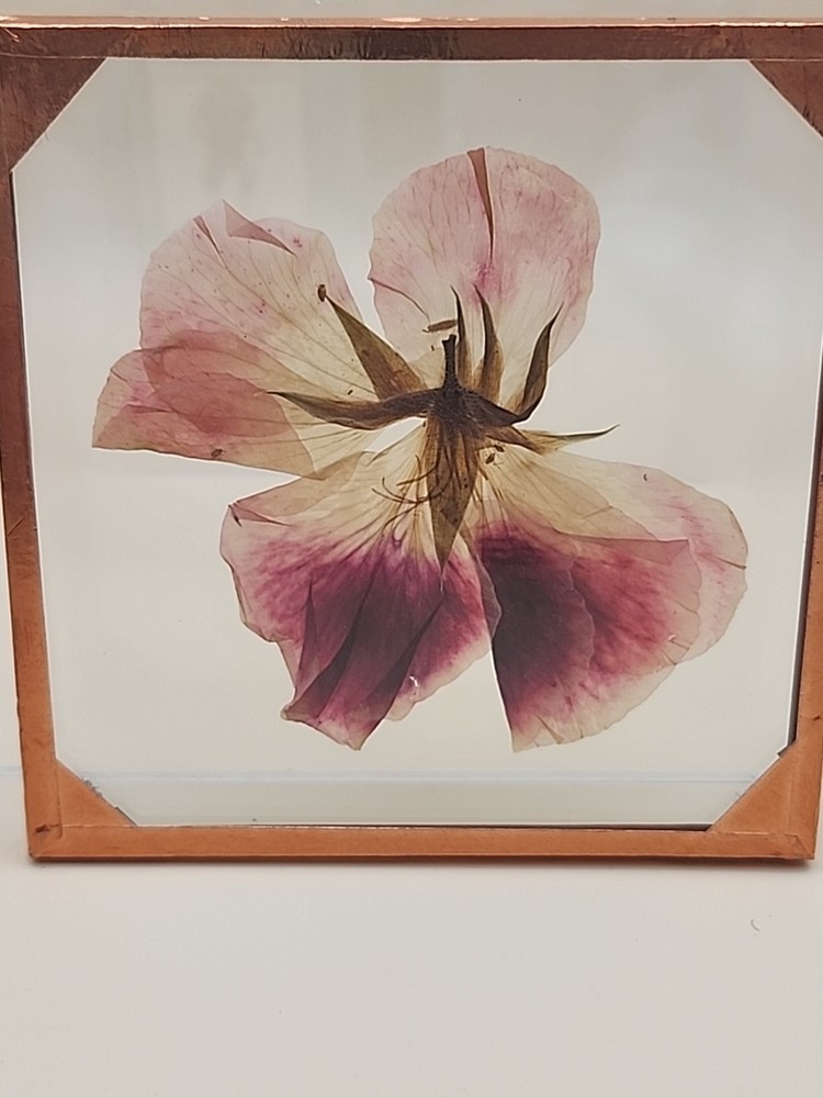 Copper Foiled Frame/Pressed & Dried Flowers Between Glass Coasters