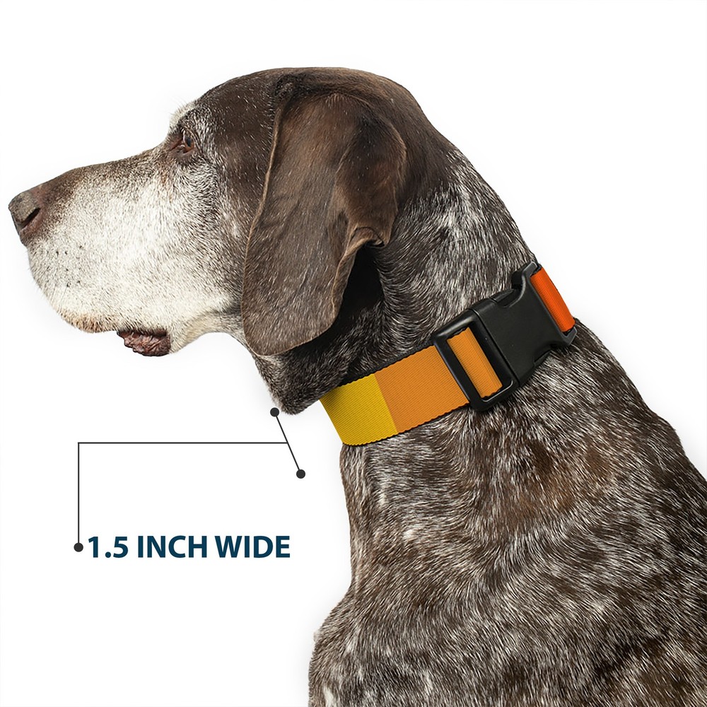 Plastic Clip Collar Summer Essentials Color Block 2 Small 9.5-13"