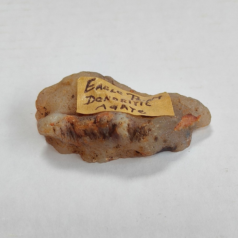 Natural Dendritic Agate Slice - Rare Eagle Point Specimen with Intricate Pattern