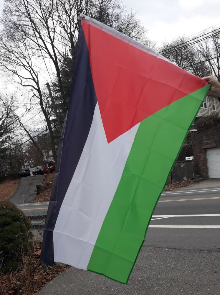 Palestine Flag | 3 x 5 Feet