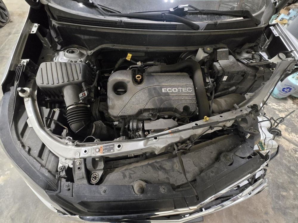 EQUINOX 2020 Jack 1556348