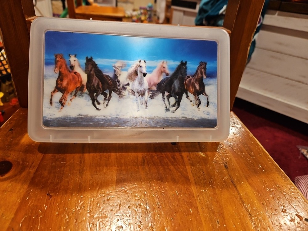 Pencil Box w Horses