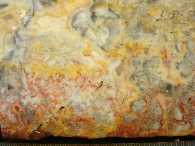 australlian crazy lace 2 slabs