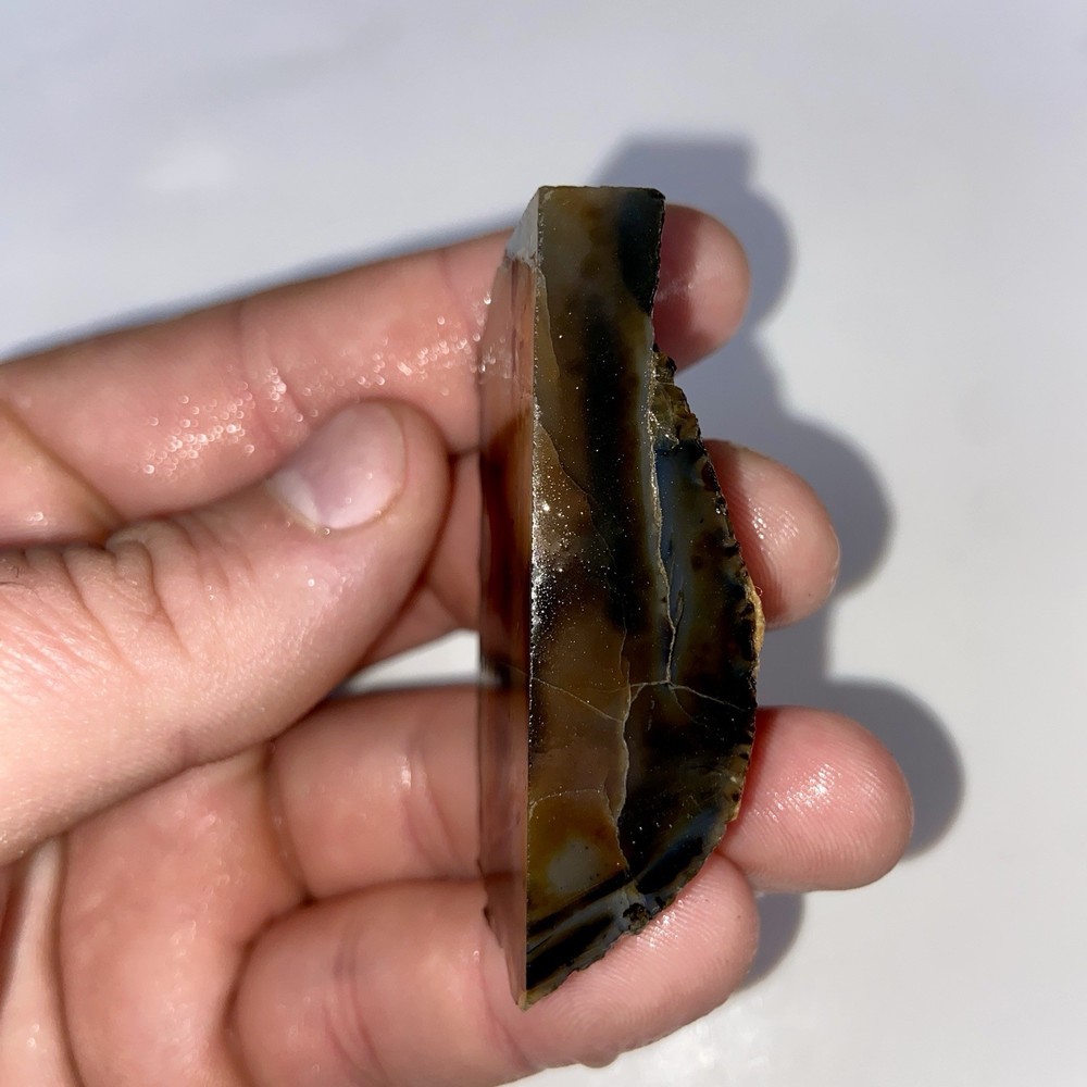 Montana Agate Unique Optical Depth 1.49 Oz
