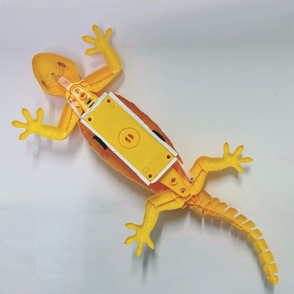 Wall Climb Gecko Toy Remote Control Interactive Game Wall Crawler Robot Kid Gift